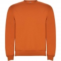 Clasica Sweatshirt mit Rundhalsausschnitt Unisex, Orange