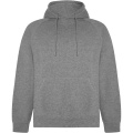 Vinson Kapuzenpullover Unisex, Grau meliert