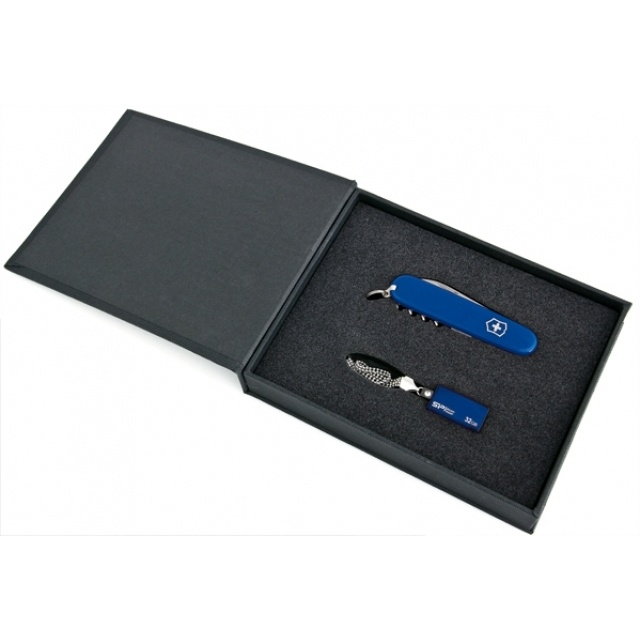 Logo trade corporate gift photo of: Elegant giftset in blue colour  8GB	color blue