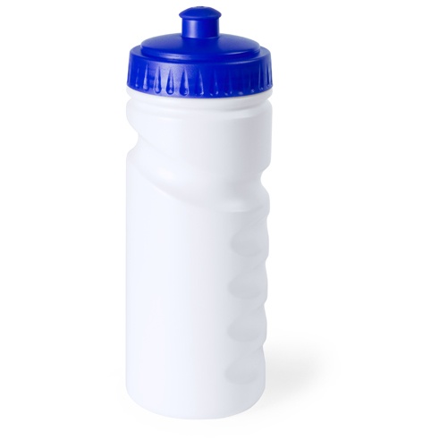 Logotrade promotional gifts photo of: sport bottle AP741912-06 blue