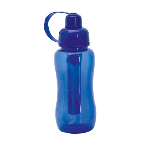 Logotrade promotional merchandise image of: sport bottle AP791796-06 blue