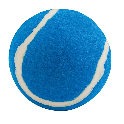 Logo trade business gift photo of: ball for dogs AP731417-06 blue
