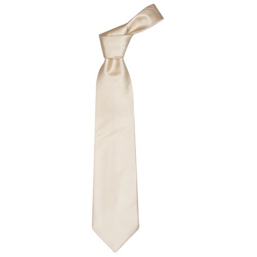 Logo trade corporate gifts image of: Necktie color white