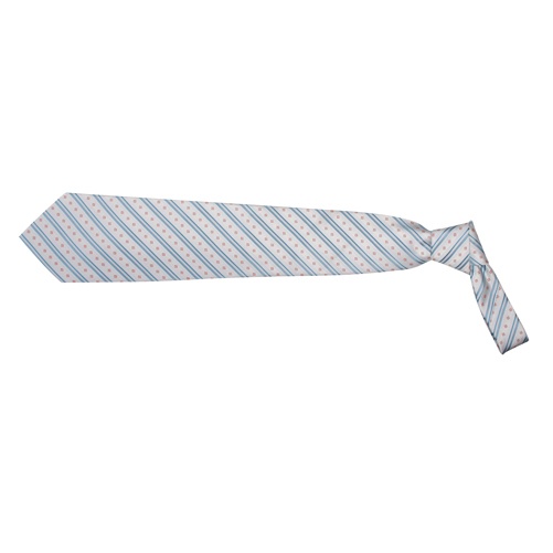 Logotrade promotional gift image of: Premier Line Necktie polyester