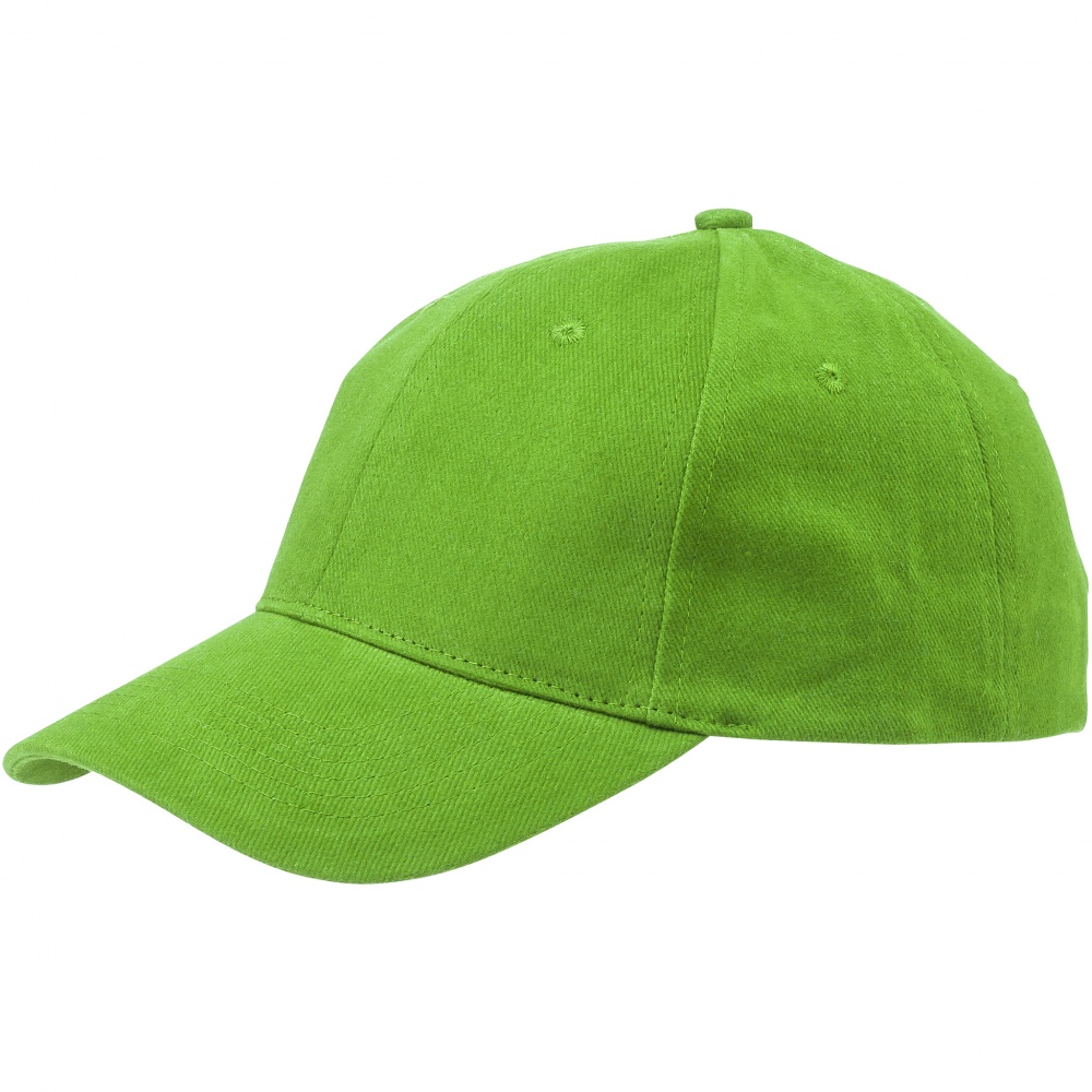 Logotrade promotional products photo of: Bryson 6 panel cap, light green
