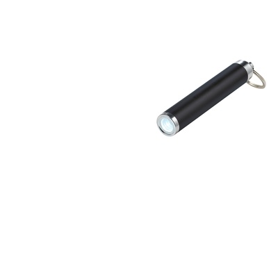 Logotrade corporate gift image of: Pocket LED torch, black