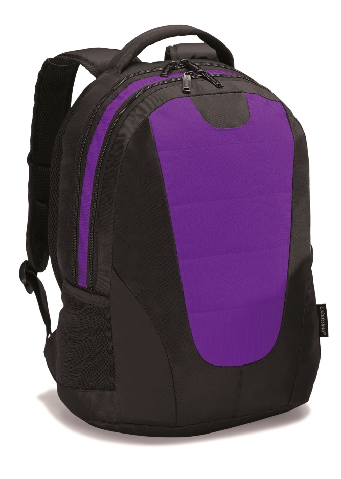 Logo trade promotional gifts image of: COLORISSIMO LAPTOP  BACKPACK 14’, purple