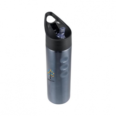 Logo trade advertising products image of: Trixie stainless sports bottle, titanium