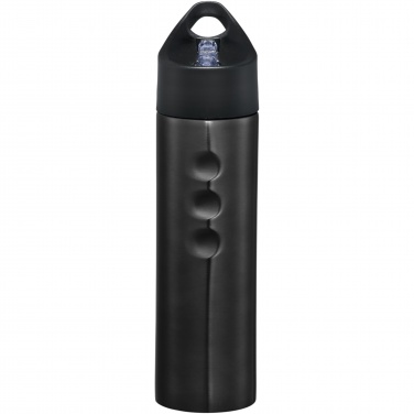 Logotrade promotional merchandise photo of: Trixie 750 ml stainless steel sport bottle