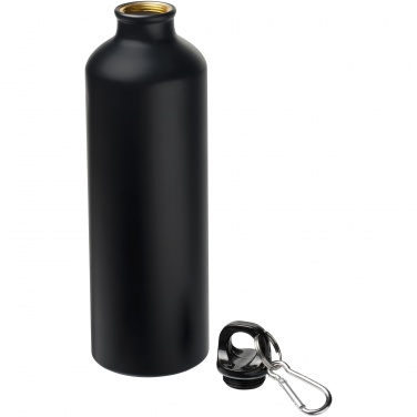 Logotrade promotional giveaway picture of: Oregon 770 ml matte water bottle with carabiner