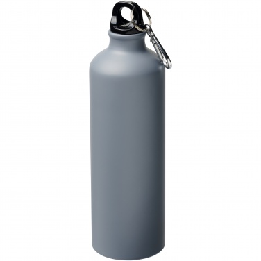 Logo trade promotional giveaways picture of: Oregon 770 ml matte water bottle with carabiner