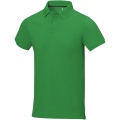 Calgary short sleeve men's polo, Fern green