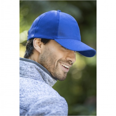 Logotrade promotional giveaways photo of: Drake 6 panel trucker cap