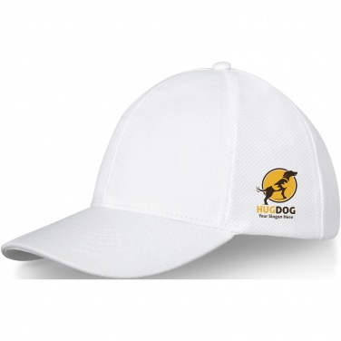 Logo trade promotional giveaways picture of: Drake 6 panel trucker cap