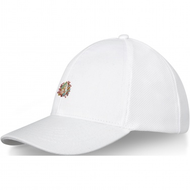 Logo trade promotional merchandise image of: Drake 6 panel trucker cap