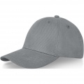 Davis 6 panel cap, Grey