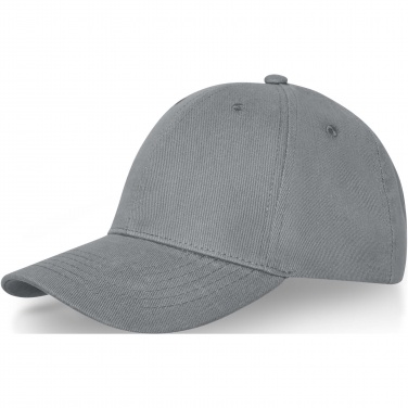 Logotrade business gift image of: Davis 6 panel cap