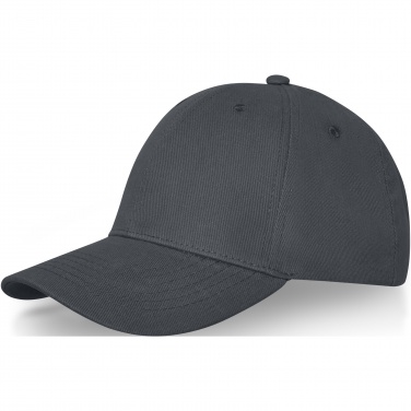 Logo trade promotional items picture of: Davis 6 panel cap