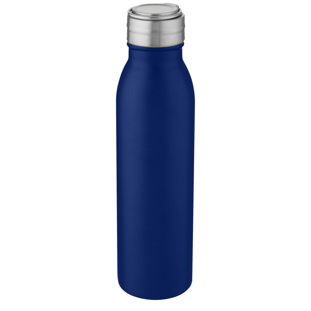 Logo trade promotional items image of: Harper 700 ml stainless steel water bottle with metal loop