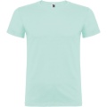 Beagle short sleeve men's t-shirt, Mint