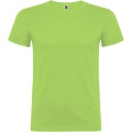 Beagle short sleeve kids t-shirt, Oasis Green