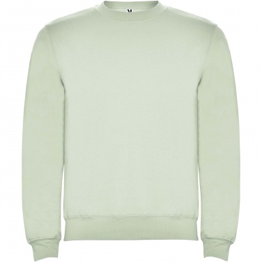 Logo trade promotional giveaway photo of: Clasica unisex crewneck sweater