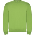 Clasica unisex crewneck sweater, Oasis Green