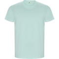 Golden short sleeve men's t-shirt, Mint