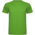 Montecarlo short sleeve men's sports t-shirt, Fern green