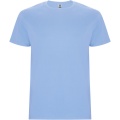 Stafford short sleeve kids t-shirt, Sky blue