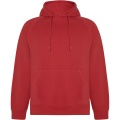 Vinson unisex hoodie, Red