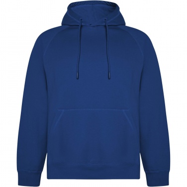 Logo trade promotional merchandise picture of: Vinson unisex hoodie