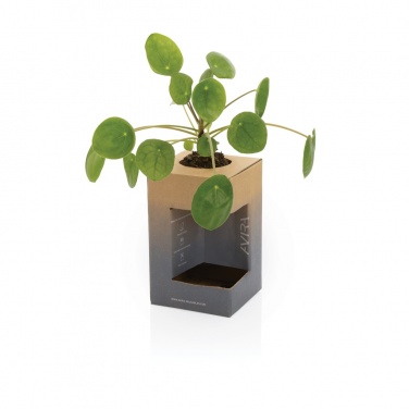Logotrade promotional merchandise picture of: Avira Alya RCS Re-steel tumbler 300 ml