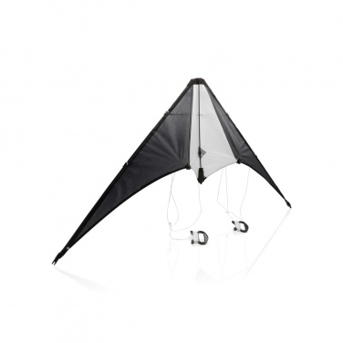 Logotrade promotional merchandise image of: Delta kite