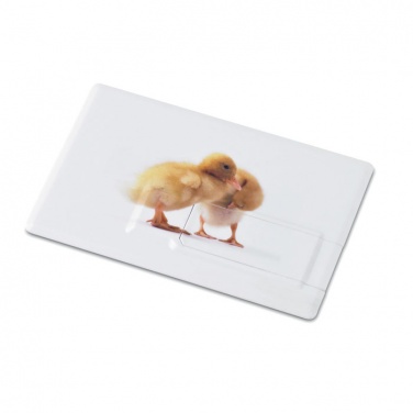 Logo trade promotional merchandise picture of: Creditcard. USB flash 4GB