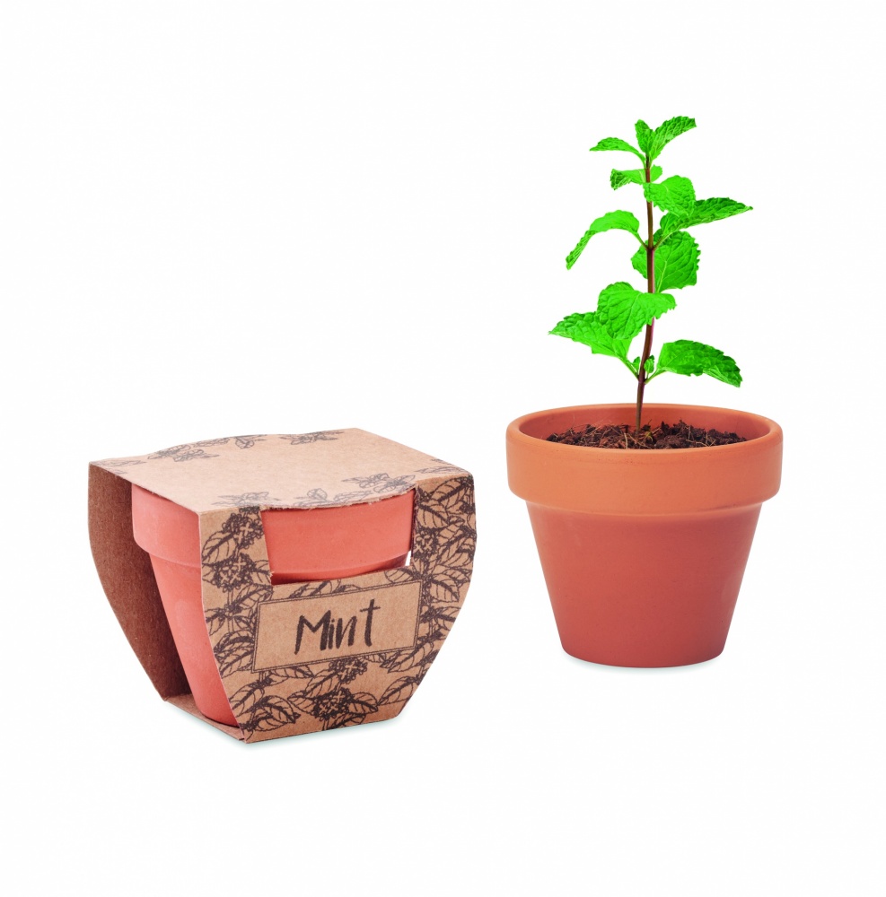 Logo trade promotional gifts picture of: Terracotta pot mint seeds