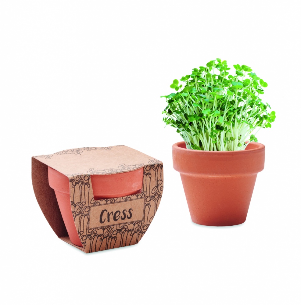 Logo trade promotional giveaways image of: Terracotta pot cress seeds