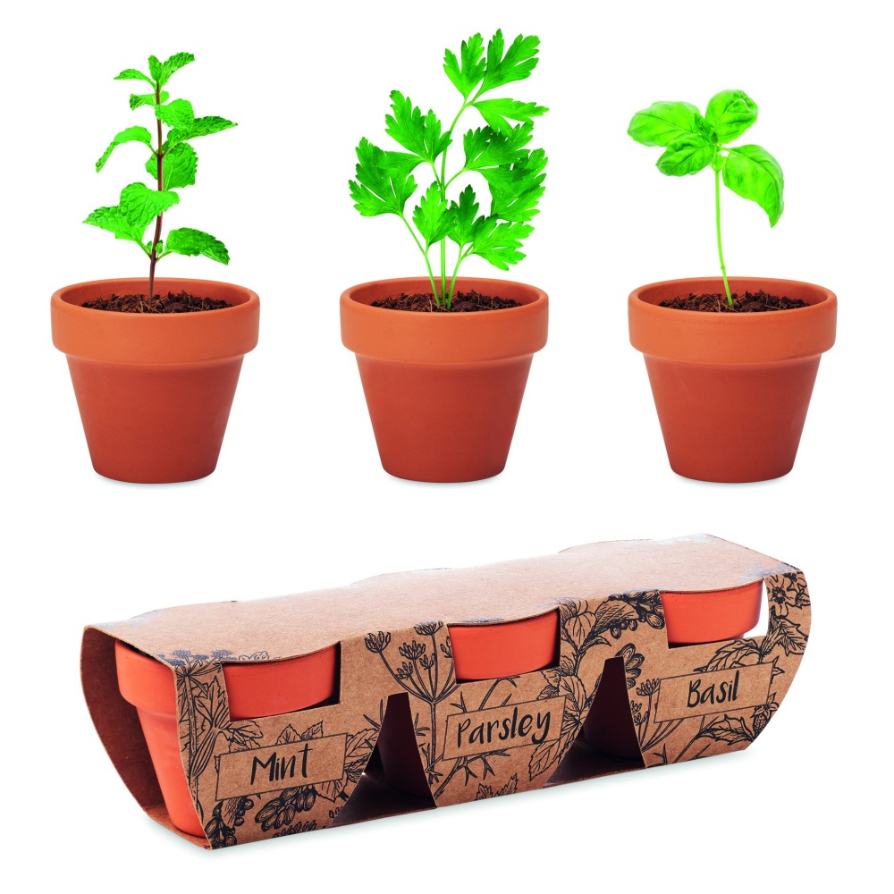 Logo trade promotional giveaways image of: Terracotta 3 herb pot set