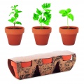 Terracotta 3 herb pot set, Wood