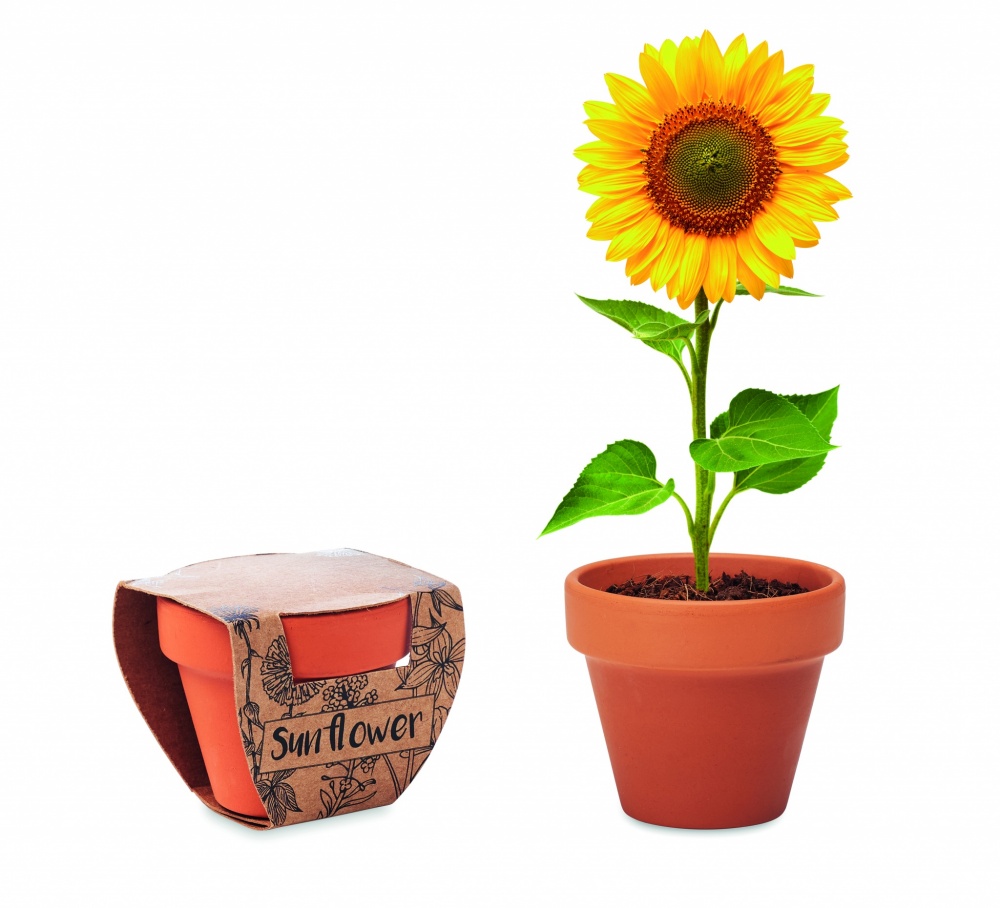 Logotrade corporate gifts photo of: Terracotta pot 'sunflower'