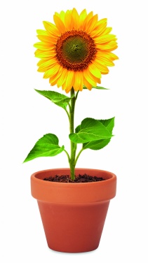 Logo trade promotional giveaway photo of: Terracotta pot 'sunflower'