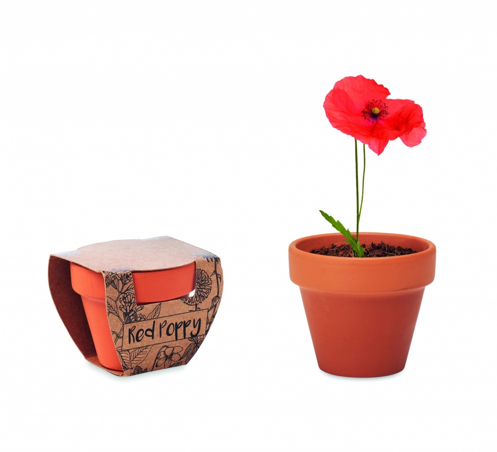 Logotrade promotional products photo of: Terracotta pot 'poppy'