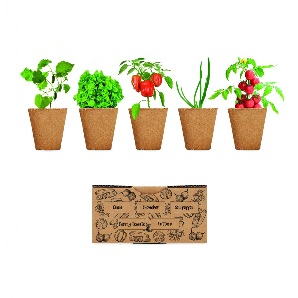 Logotrade promotional product image of: Salad growing kit