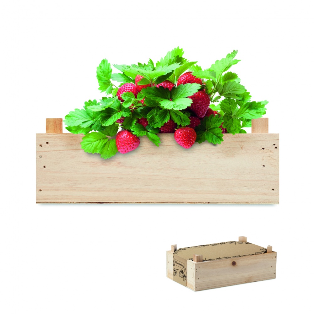 Logo trade corporate gifts picture of: Strawberry kit in wooden crate