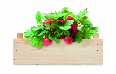 Logotrade corporate gifts photo of: Strawberry kit in wooden crate