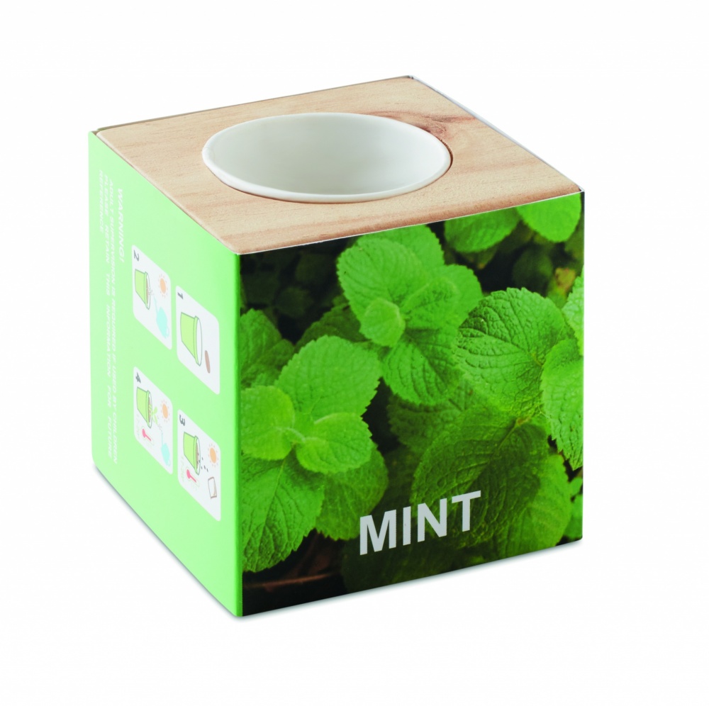 Logotrade promotional gift image of: Herb pot wood "MINT"