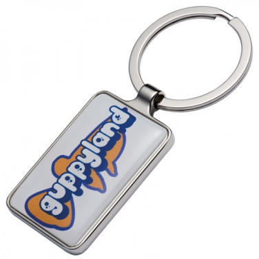 Logo trade promotional products picture of: Keyring FLINT