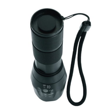 Logotrade promotional product image of: Flashlight DELGADA Schwarzwolf