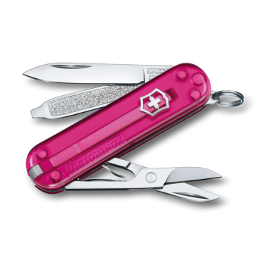 Logotrade advertising product picture of: Pocket knife Classic SD transparent Victorinox