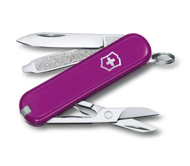 Logo trade promotional merchandise picture of: Pocket knife CLASSIC SD Victorinox